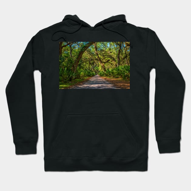 Cumberland Island National Seashore Hoodie by Gestalt Imagery